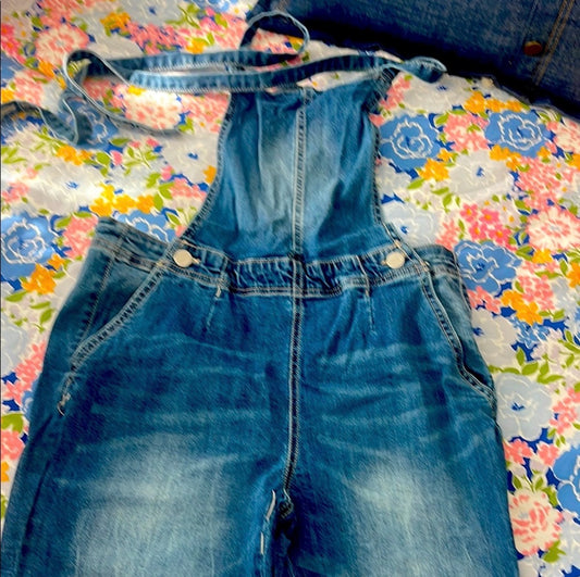 Denim Overalls 13